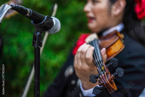 Mariachi Violin Player 