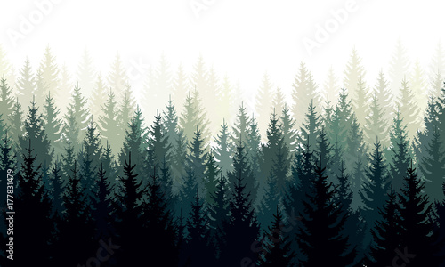 Vector landscape with green silhouettes of coniferous trees in the mist