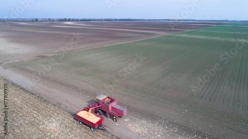 Corn harvest shoot from drone