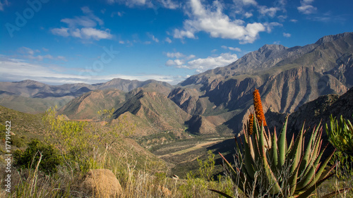 An aloe flower spotted during a hike in the lovely mountains near Calitzdorp, South Africa