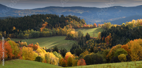 Touch of soft light on gentle rolling hills with trees in vivid autumn colours, Sumava, Böhmerwald, Kasperske Hory