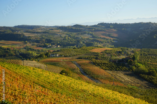 Langhe hills near Diano d'Alba