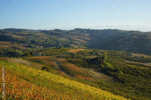 Langhe hills near Diano d'Alba