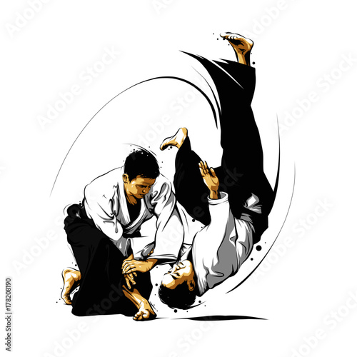 aikido action 1