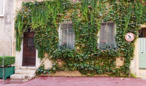 Entrance to the old house overgrown with ivy, French Provence