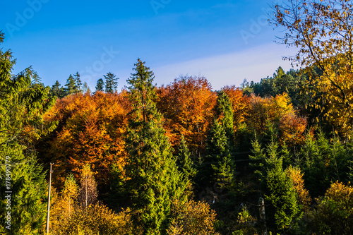 Slovakian nature autumn landscape with colorful forest.