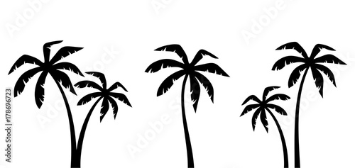 Set of vector black silhouettes of palm trees isolated on a white background.