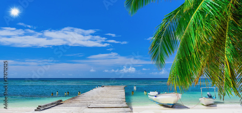 wooden bridge juts out into of the sea Dominican Republic