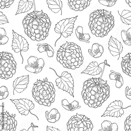 Vector seamless pattern with outline Raspberry with berry, flowers and foliage in black on the white background. Floral background with Raspberry in contour style for summer design and coloring book.