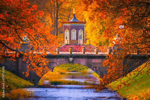 Russia. Autumn. Trees with yellow leaves. Park of Pushkin. Neighborhoods of Petersburg.