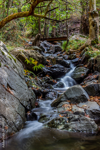 Kaledonia Waterfalls Nature Trail