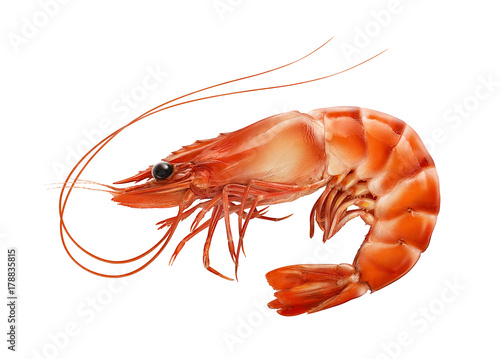 Red boiled prawn or tiger shrimp isolated on white background