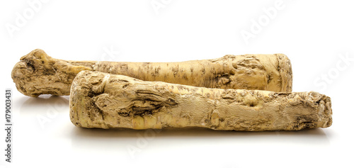 Two fresh horseradish roots isolated on white background
