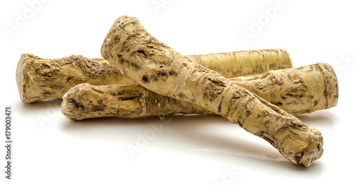 Three fresh horseradish root isolated on white background