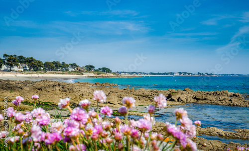 Plage de Carnac (Plage de Légenèse) rochers et fleurs, Morbihan, Bretagne, France