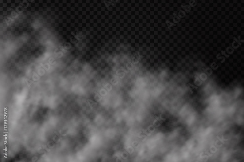 Vector realistic isolated smoke on the transparent background.