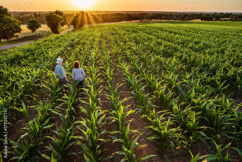 A farmer and his wife standing in their cornfield at sunset