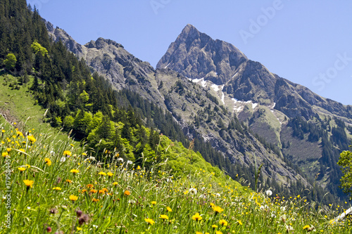 Höfats - Oberstdorf - Gerstruben - Alpen - Wandern - Klettern - Blumen - Sommer