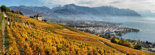 panorama of autumn vineyards in Switzerland