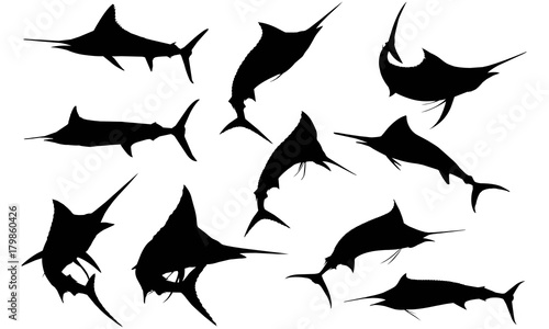 Marlin Silhouette Vector Graphics 