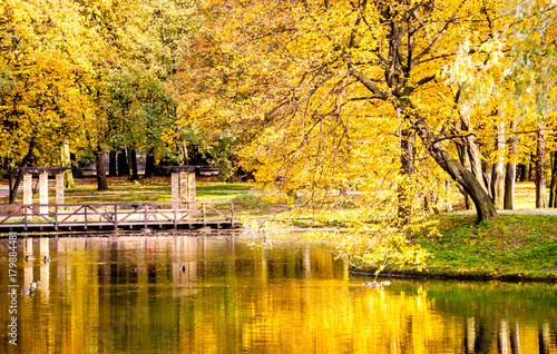 Colorful autumn park with lake and colored trees