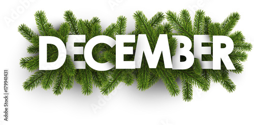 December banner with fir branches.
