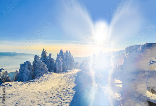 Abstract angel shape on winter landscape, outdoor