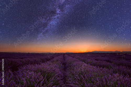 Lavender field at night in Provence, amazing landscape with starry sky, milky way and glow of sunrise, France