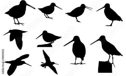 Snipe Silhouette Vector Graphics