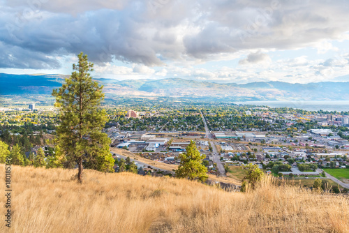 Ponderosa pine trees and grasses on Knox Mountain with view of city of Kelowna and mountains in distance