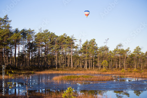 A beautiful colorful hot air baloon flying over the autumn swamp. Sunny wetland landscape in morning with balloon in Latvia.