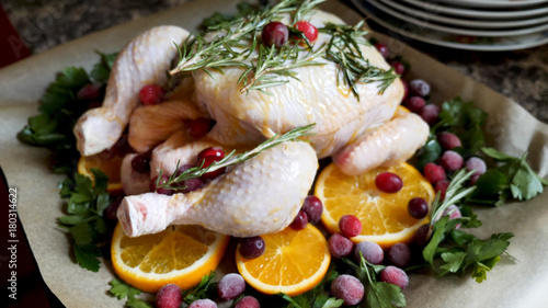 Closeup view of Whole Raw Chicken with Fresh parsley Cranberries and Orange Slices on baking tray tin prepared for roasting in oven