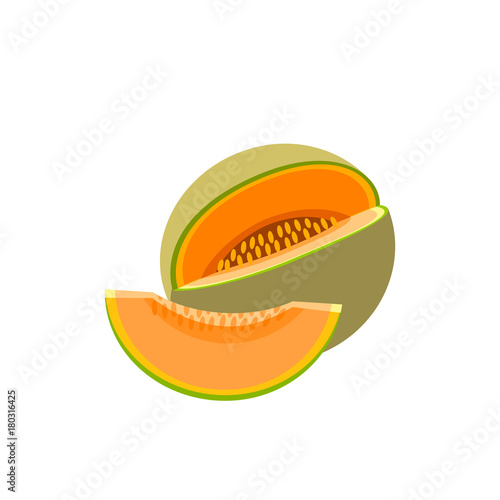 Summer fruits for healthy lifestyle. Cantaloup, whole fruit and slice. Vector illustration cartoon flat icon isolated on white.