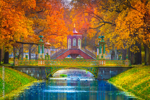 Russia. St. Petersburg. view of the park of Pushkin. Summer Park