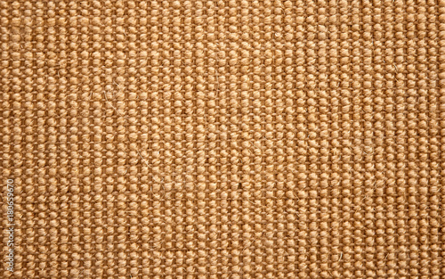 organic carpet from sisal for cat