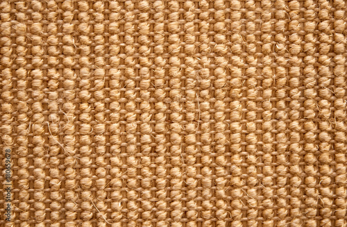 organic carpet from sisal for cat