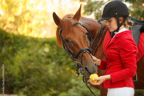 Jockey to feed horse with apple