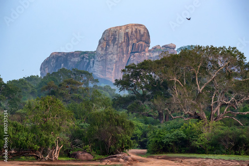 Landscape Yala National Park, Sri Lanka