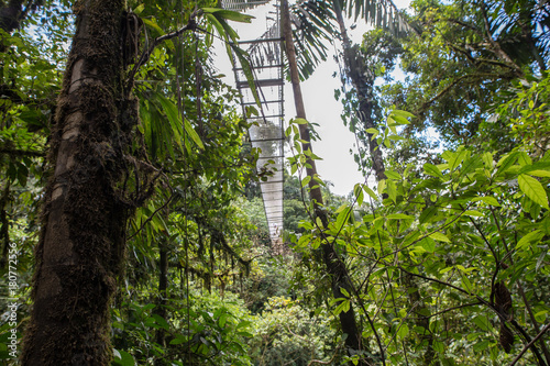 Hanging bridges in Arenal Region - Costa Rica