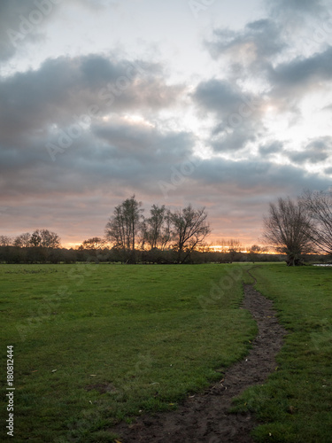 path through open flat plain country trees sky sunset dramatic