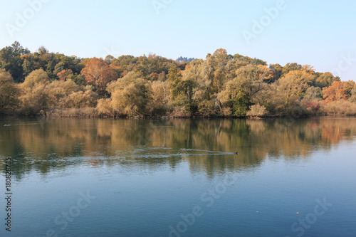 fiume adda - oasi dell'alberone