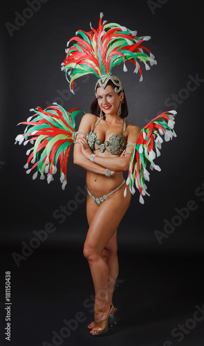  Beautiful girl in carnival costume.