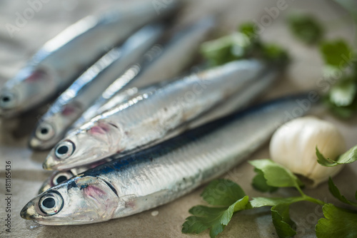fresh anchovies