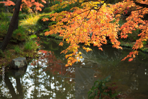 Fall in Kyoto, Japan, autumn leaves in an old temple garden