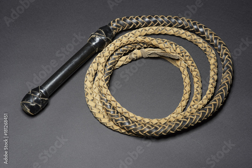 Bullwhip