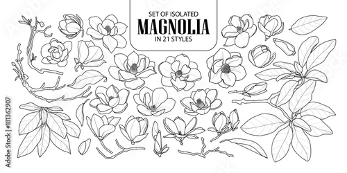 Set of isolated magnolia in 21 styles. Cute hand drawn flower vector illustration in black outline and white plane.