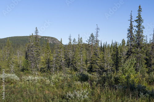 A transition zone between tajga and tunda