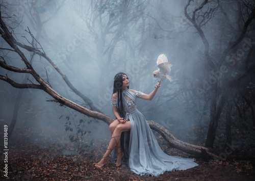 Mysterious sorceress in a beautiful blue dress. The background is a cold forest in the fog. Girl with a white owl. Artistic Photography