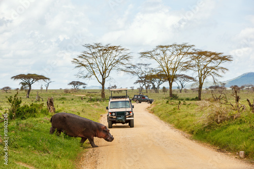 Game drive