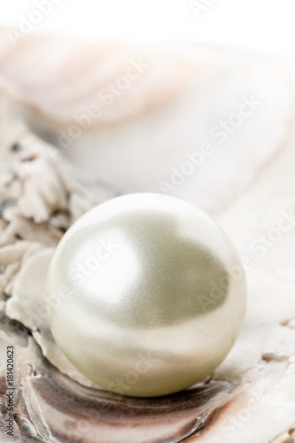 Single pearl in oyster sea shell close up